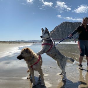 Meet your Posher, Hernan